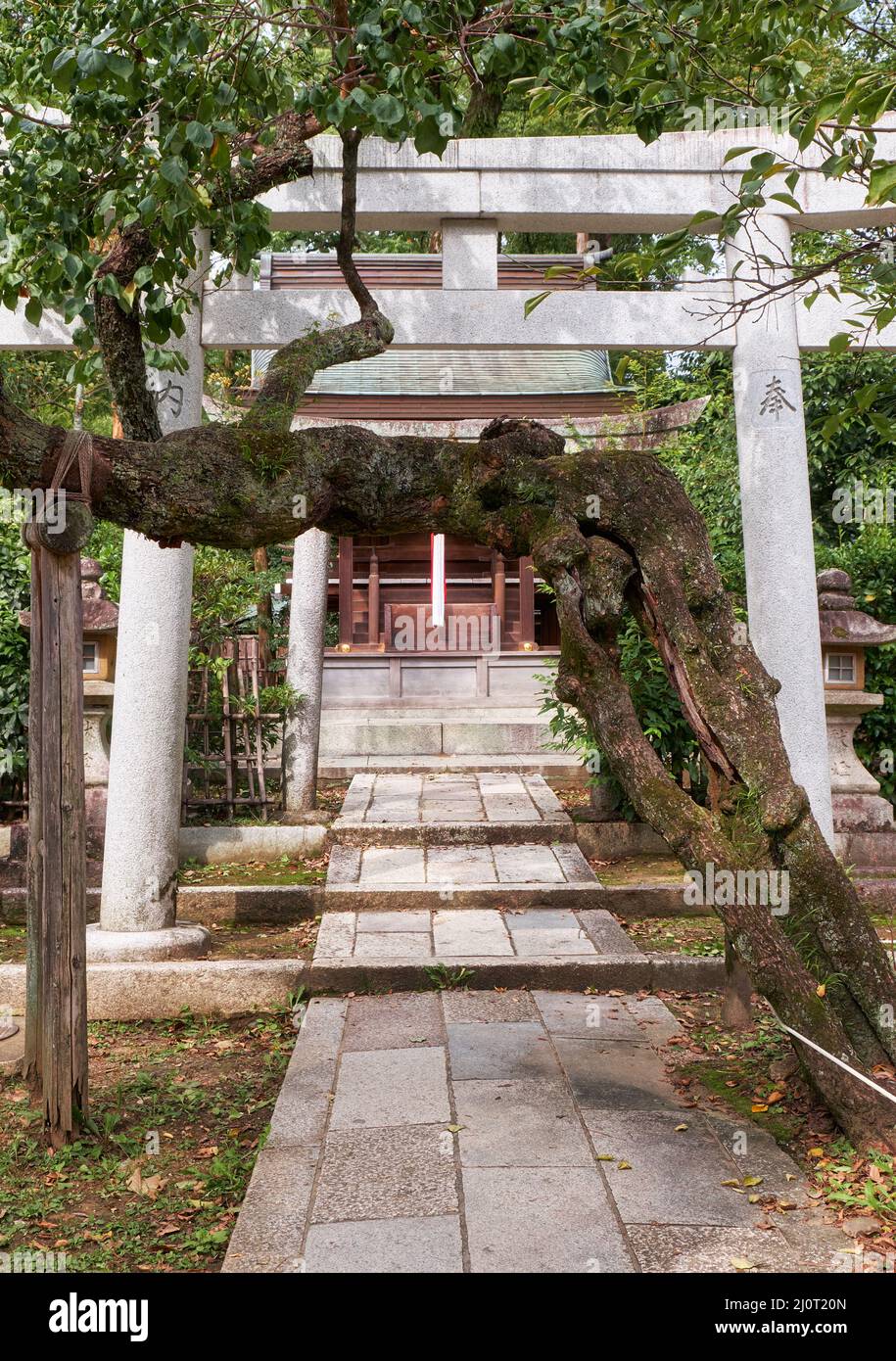 Hettsuisha piccolo santuario sul territorio di Kitano Tenmangu santuario. Kyoto. Giappone Foto Stock