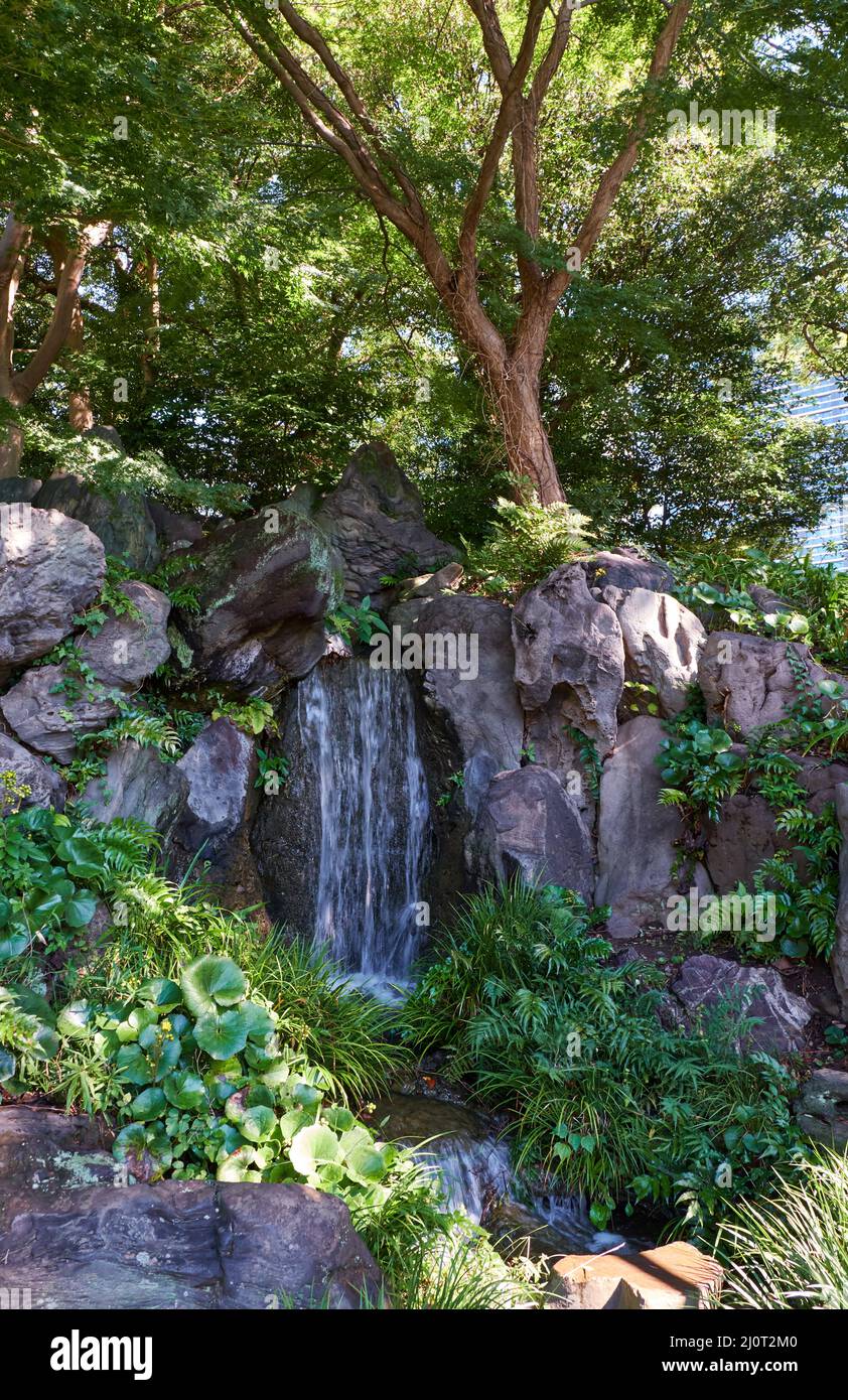 Cascata ai Giardini Est del Palazzo Imperiale. Tokyo. Giappone Foto Stock