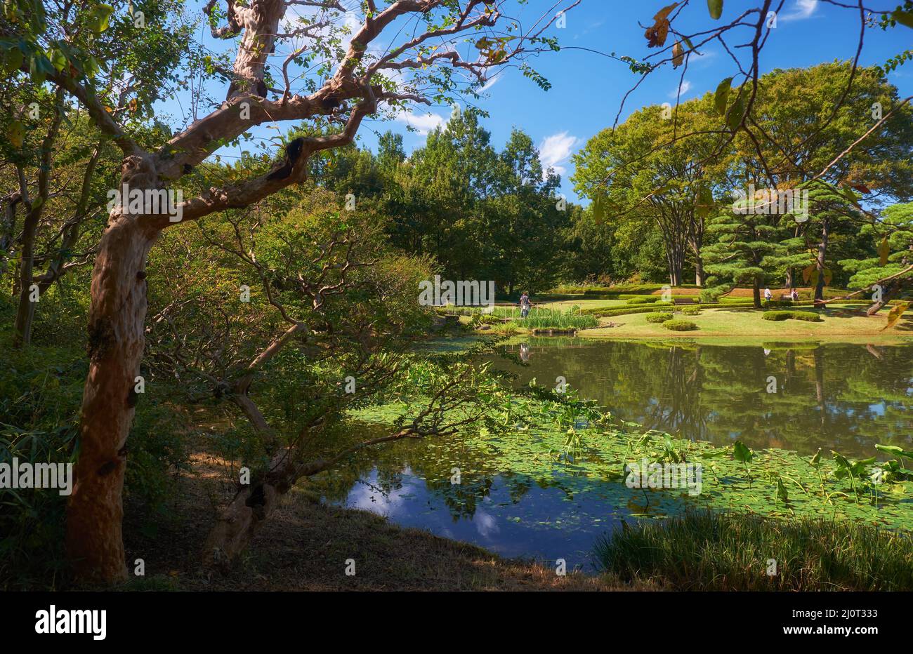 Laghetto nel Giardino Ninomaru presso il Palazzo Imperiale di Tokyo. Tokyo. Giappone Foto Stock