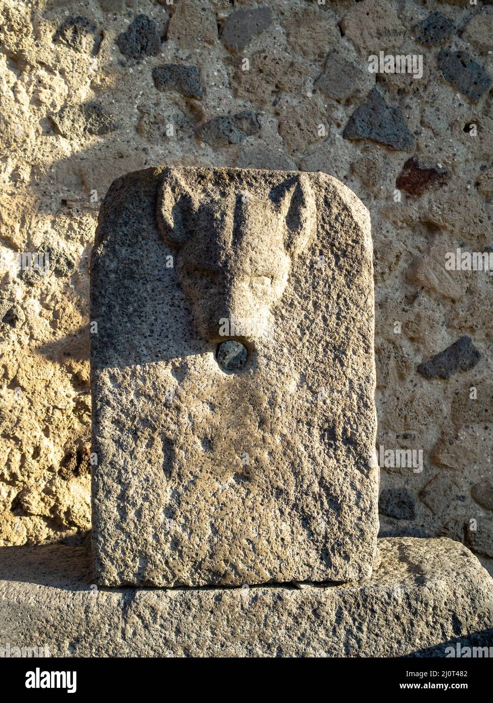 Lastra fontana a forma di animale, Pompei Foto Stock