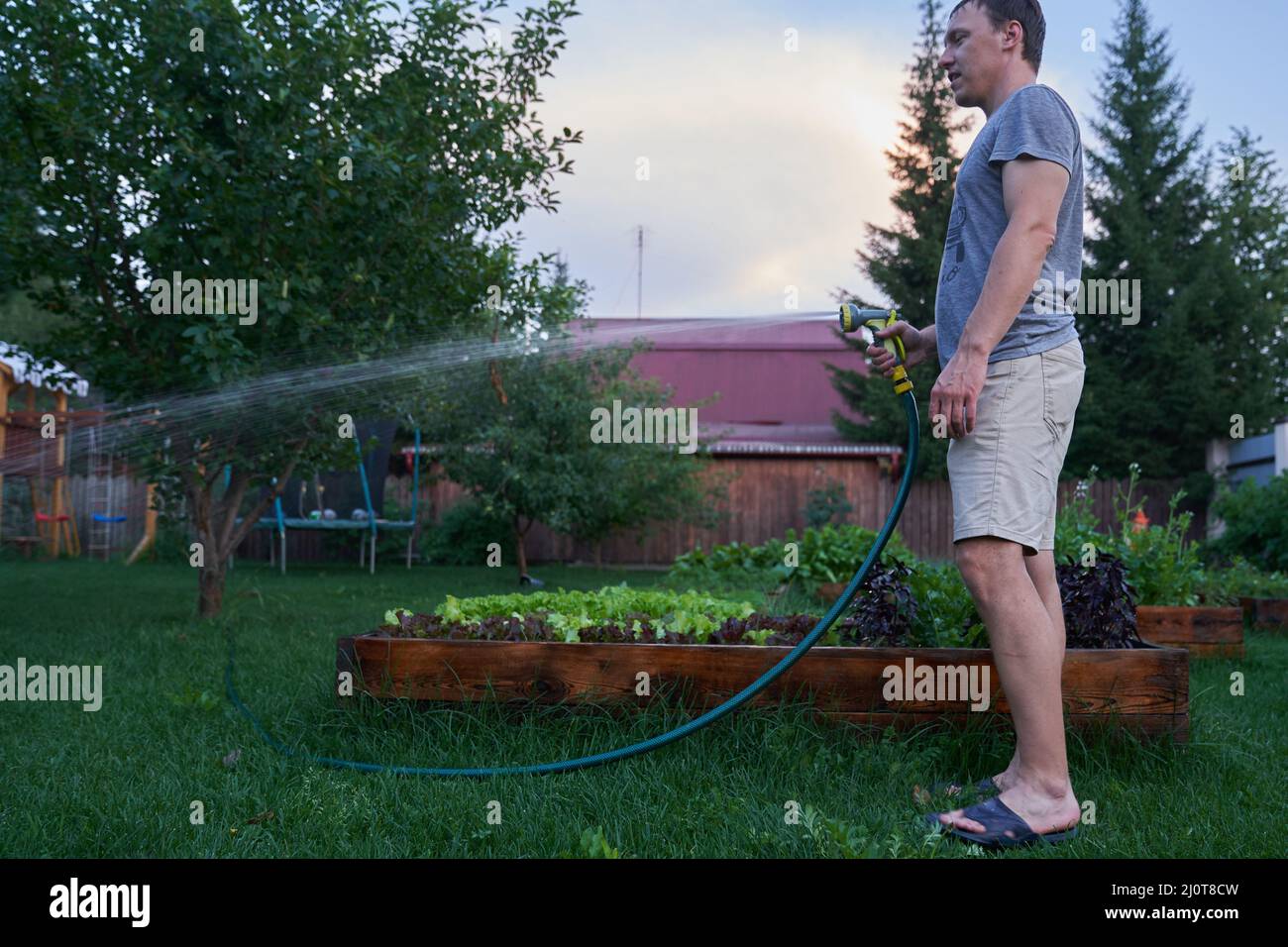 Spruzzatura a getto d'acqua alla luce del giorno. Un uomo coltiva piante all'aperto nel giardino. Giardinaggio e hobby concetto. Foto di alta qualità Foto Stock