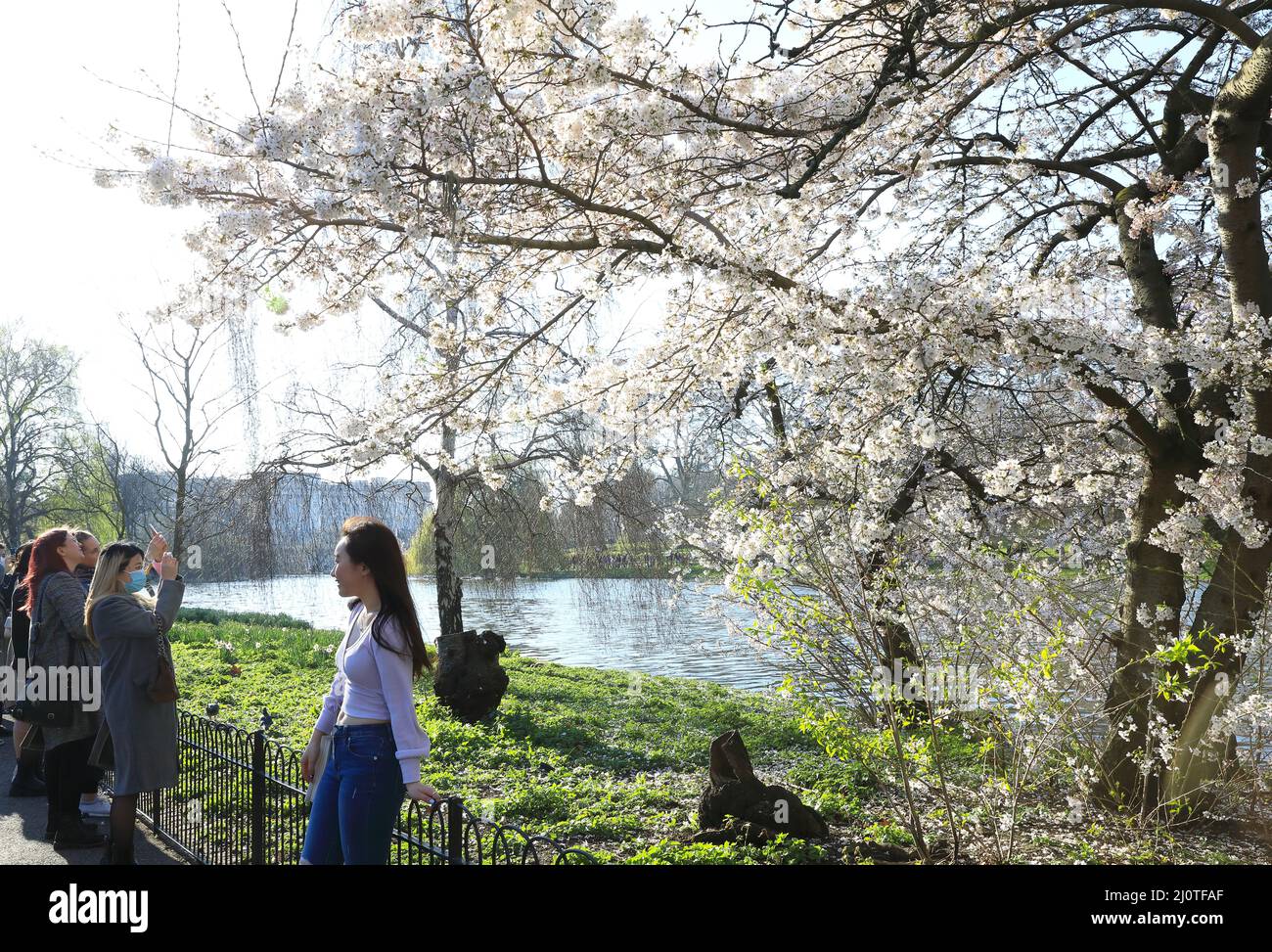 La gente gode di un clima insaponabilmente caldo vicino a una bella fioritura in un fine settimana di marzo soleggiato a St James Park, nel centro di Londra, Regno Unito Foto Stock
