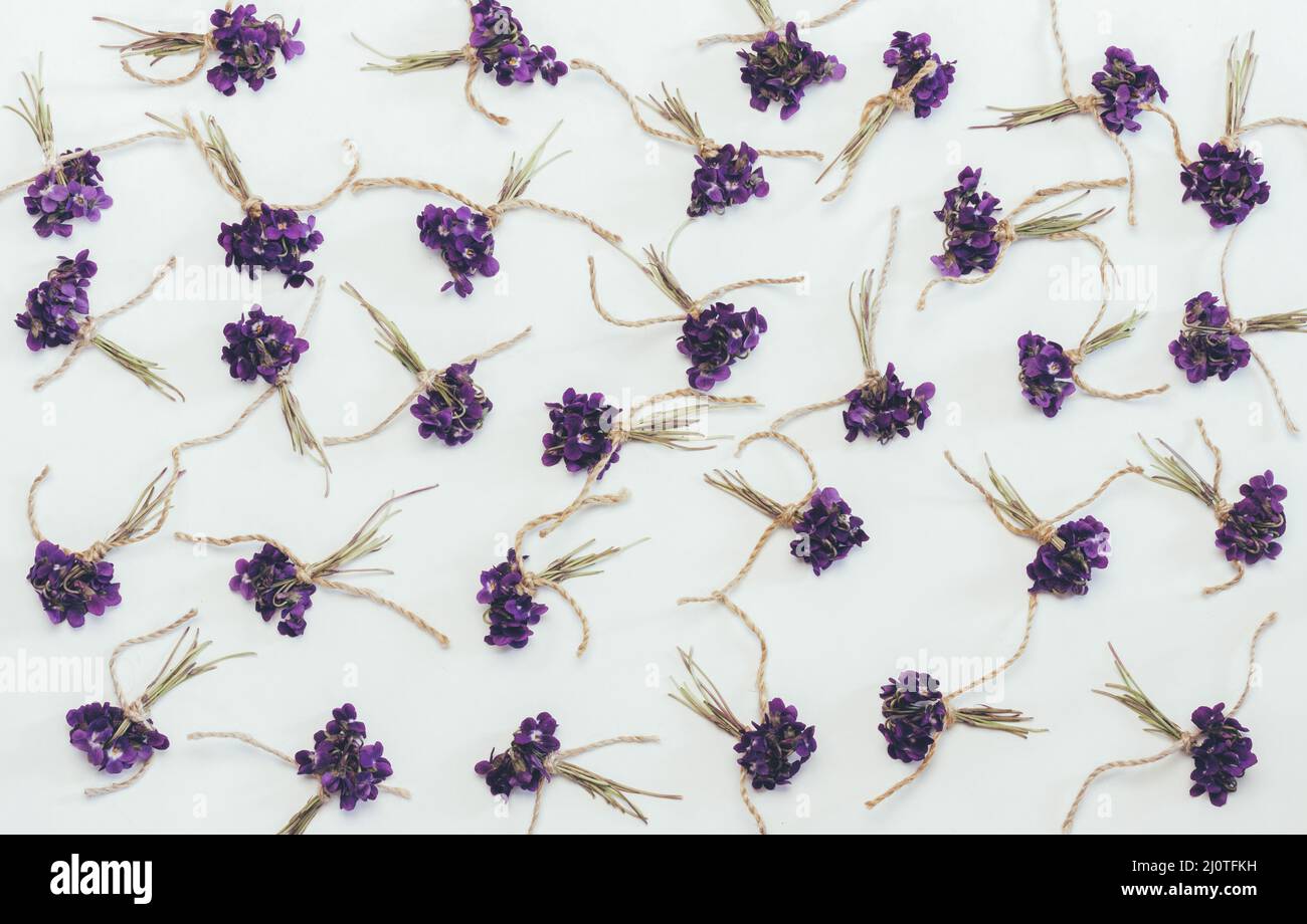 Piccoli bouquet di fragranti fiori della foresta viola sfondo bianco, vista dall'alto piatto Foto Stock