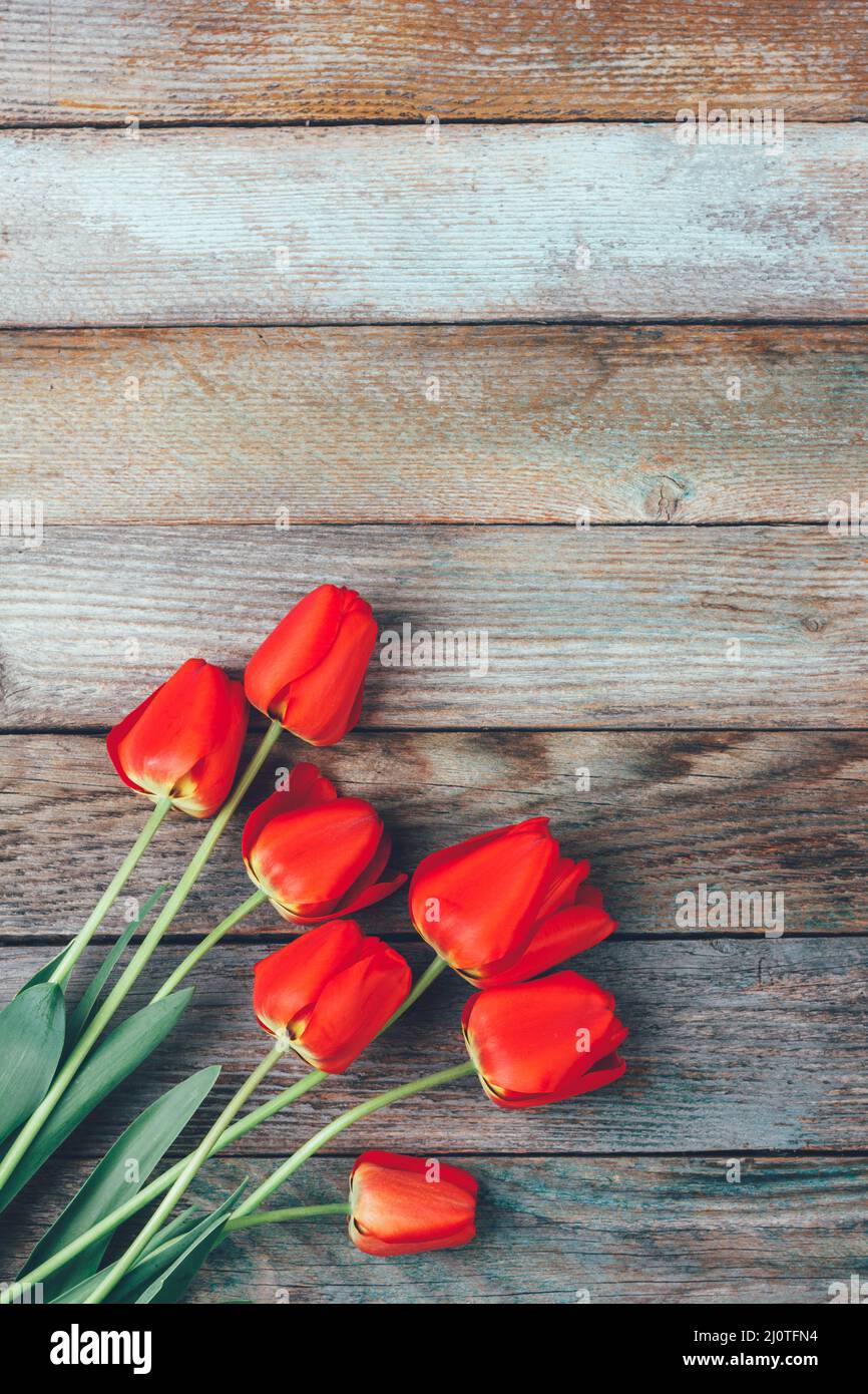 Bouquet di tulipani rossi su sfondo di grunge retrò di legno blu chiaro con spazio copia. Il concetto di giorno delle madri, giorno delle donne, parte superiore Foto Stock