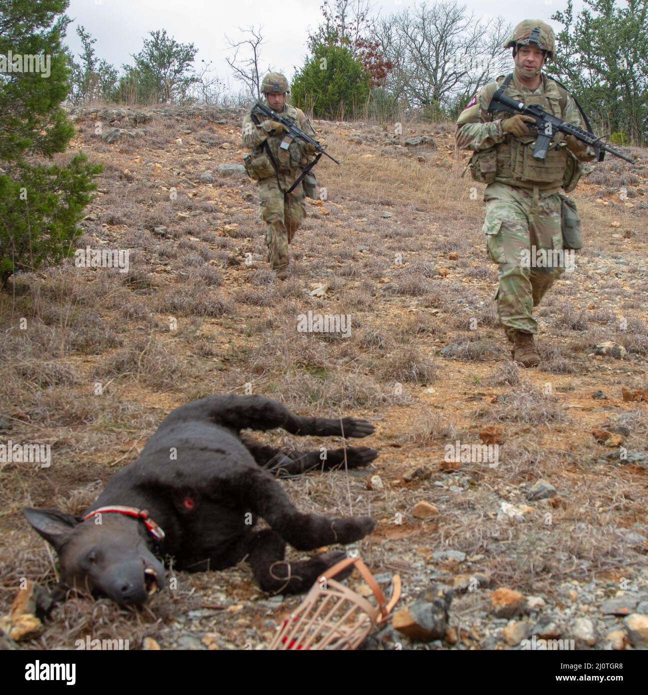 SGT. 1st Classe Dain Neininger e Sgt. Chaise Rheinlander, 1st Divisione Cavalry, si prepara a valutare un incidente canino durante il Sgt. Major Jack L. Clark Jr. U.S. Army Best Medic Competition, 25 gennaio 2022, Fort Hood, Texas. La competizione è una brulicante 72 ore con molti eventi per testare le abilità dei soldati. (STATI UNITI Esercito foto di Dylan Bailey) Foto Stock