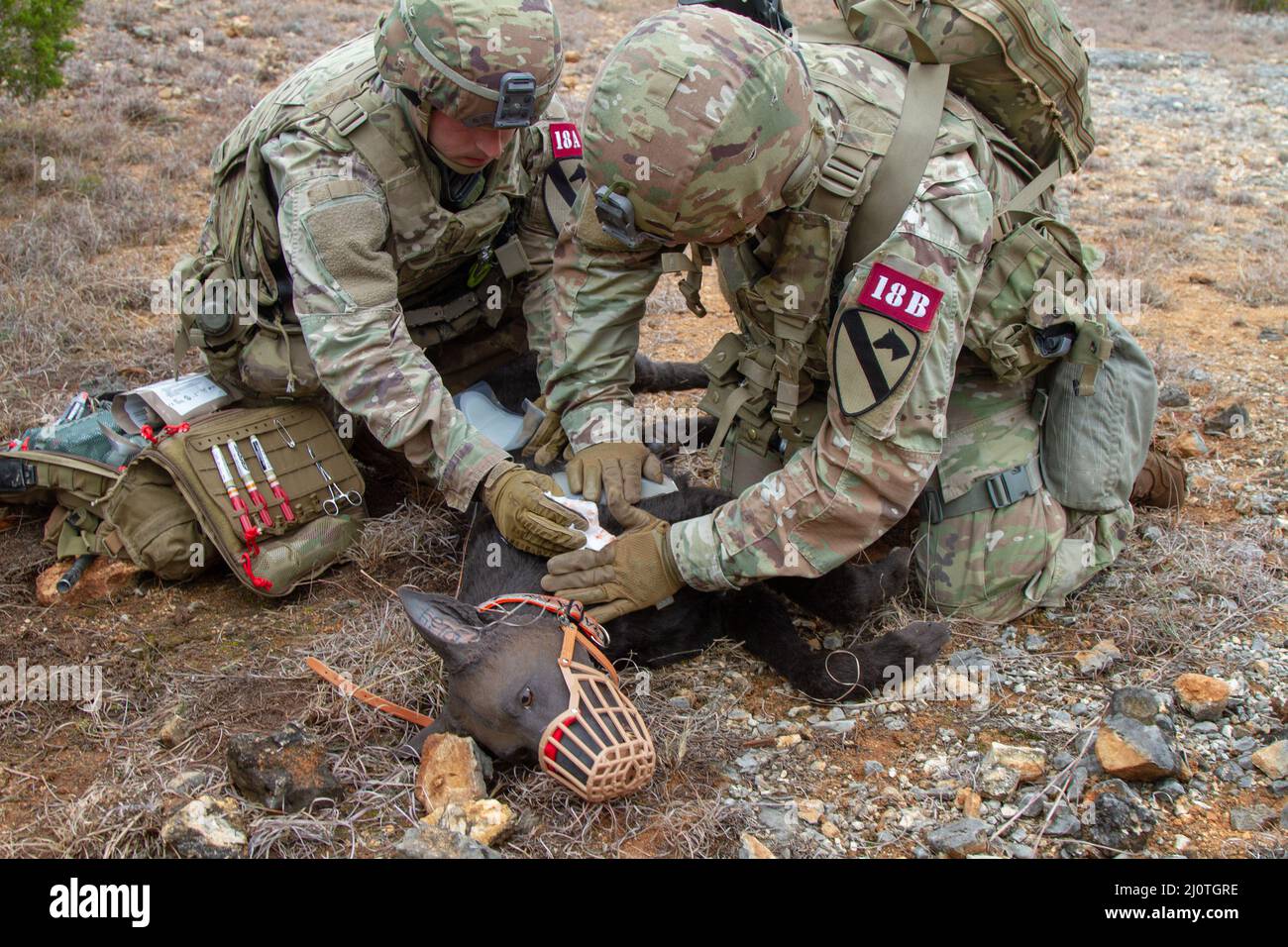 SGT. 1st Classe Dain Neininger e Sgt. Chaise Rheinlander, 1st Divisione Cavalleria, valuta un incidente canino durante il Sgt. Major Jack L. Clark Jr. U.S. Army Best Medic Competition, 25 gennaio 2022, Fort Hood, Texas. La competizione è una brulicante 72 ore con molti eventi per testare le abilità dei soldati. (STATI UNITI Esercito foto di Dylan Bailey) Foto Stock