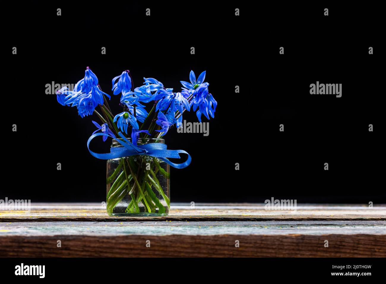 Un bouquet di fiori blu primaverile bluebell in un vaso di vetro con un arco blu sul tavolo su uno sfondo nero primo piano con c Foto Stock