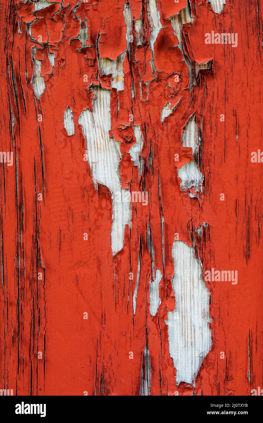 Vecchia parete di legno verniciata incrinata. Foto Stock