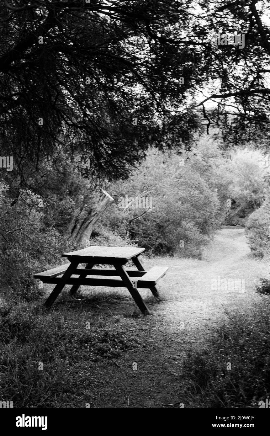 Scatto verticale in scala di grigi di un tavolo da picnic in legno in un parco Foto Stock