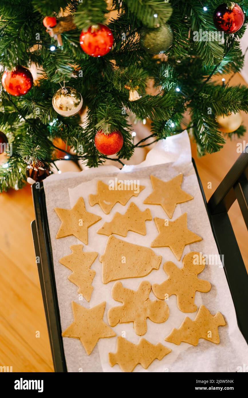Pan di zenzero crudo su un foglio di cottura sotto un albero di Natale decorato. Foto Stock