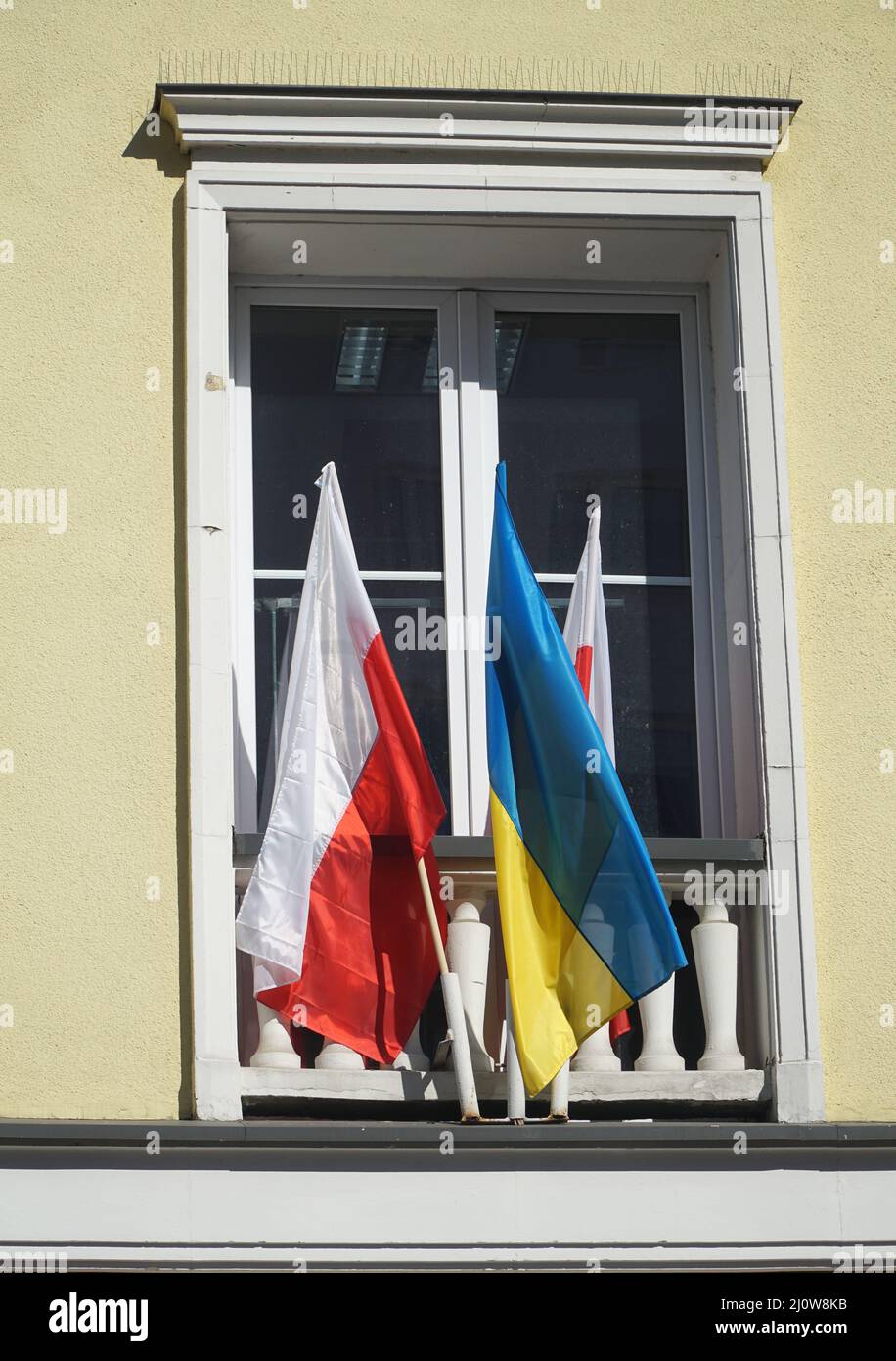 Le bandiere nazionali dell'Ucraina e della Polonia sono appese di fronte alla finestra come simbolo del sostegno all'Ucraina nella guerra russo-Ucraina. Foto Stock