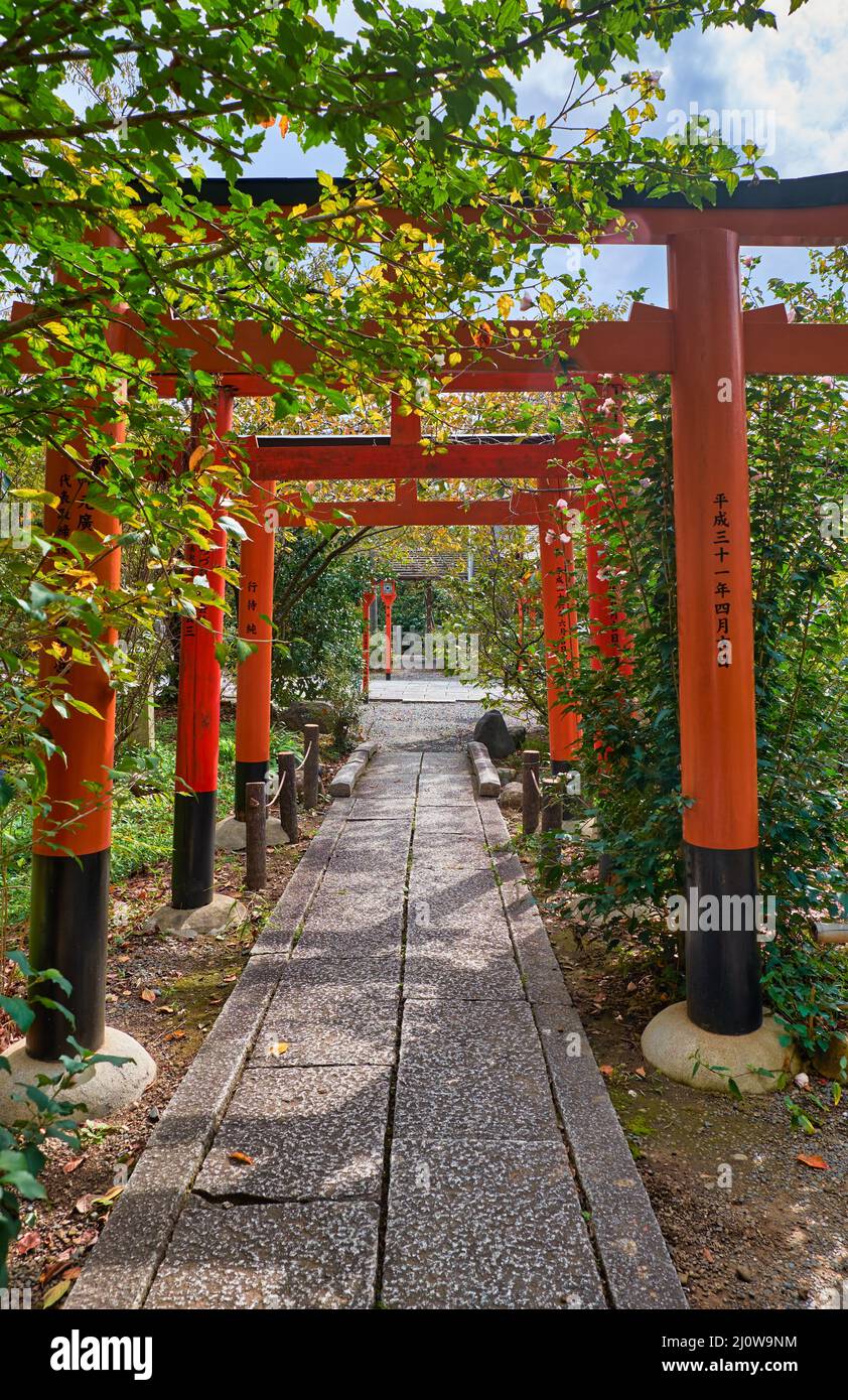 Il torii rosso porta lungo un sentiero al piccolo Santuario Inari-sha. Santuario di Hirano. Kyoto. Giappone Foto Stock