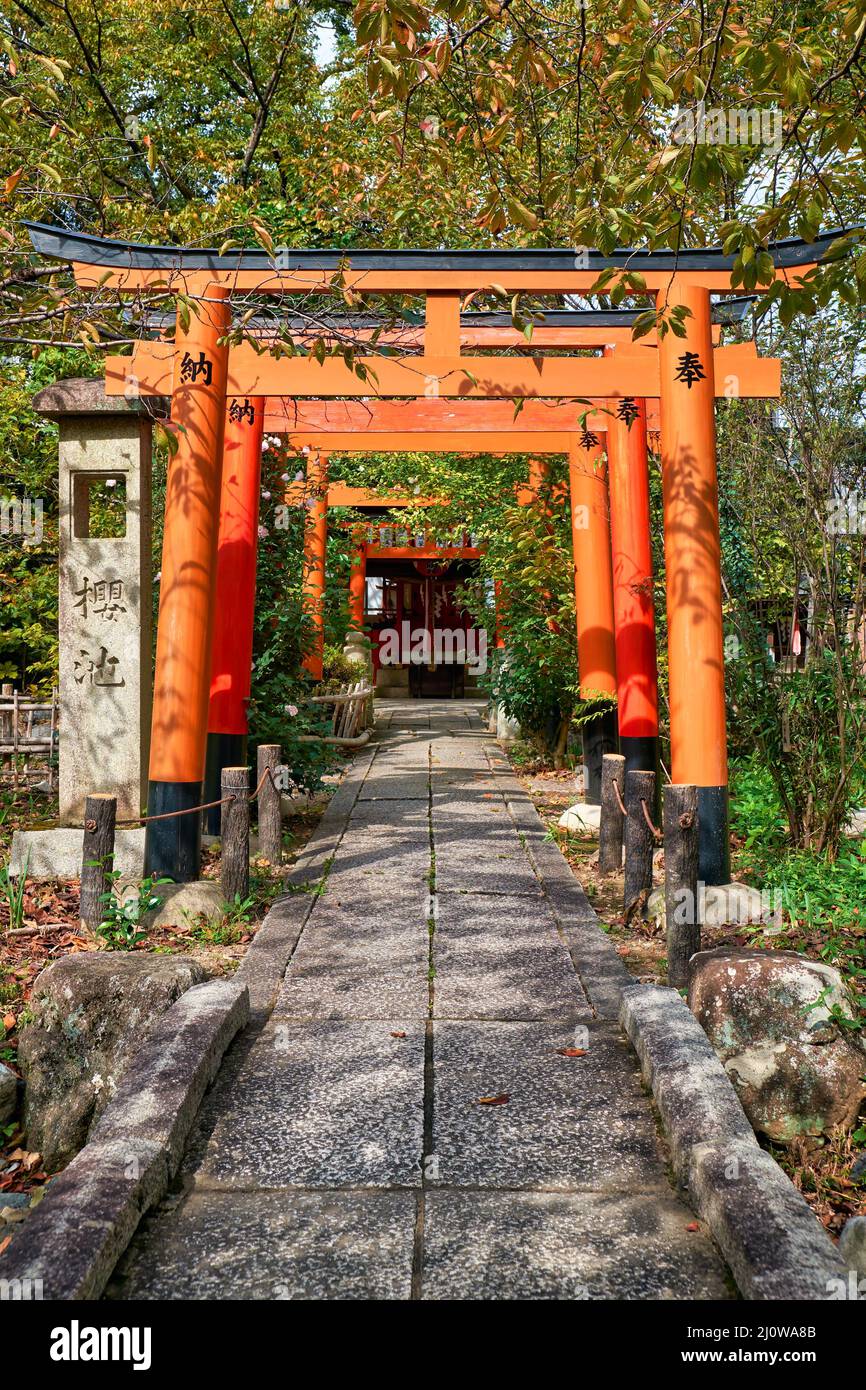 Il torii rosso porta lungo un sentiero al piccolo Santuario Inari-sha. Santuario di Hirano. Kyoto. Giappone Foto Stock