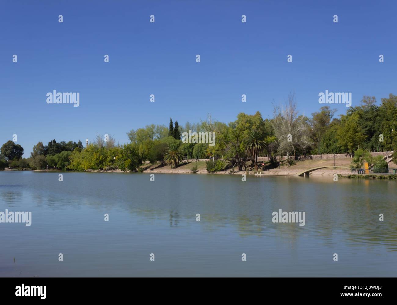 Alberi vicino al fiume in una giornata di sole. Foto Stock