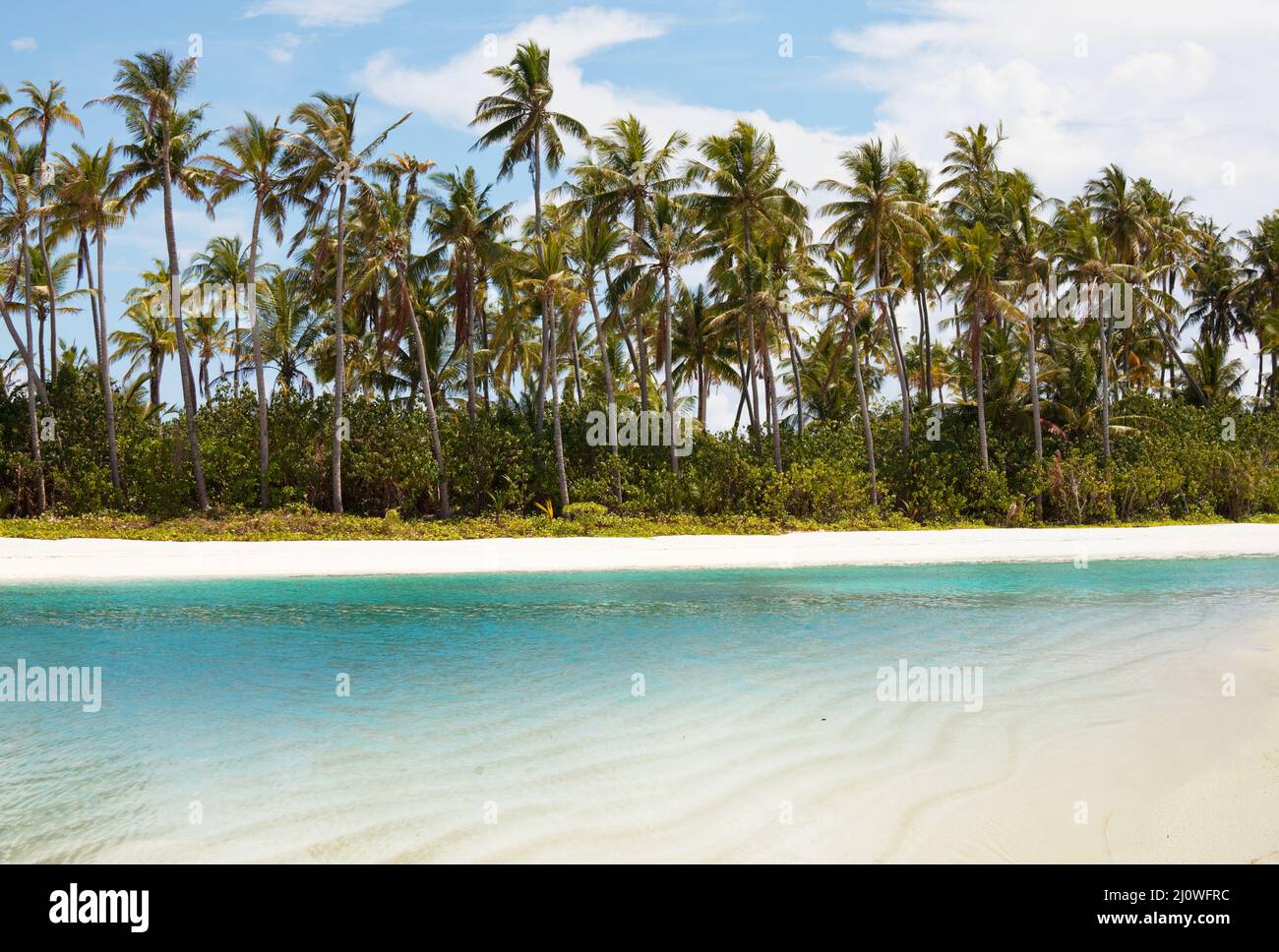 Spiaggia tropicale Foto Stock