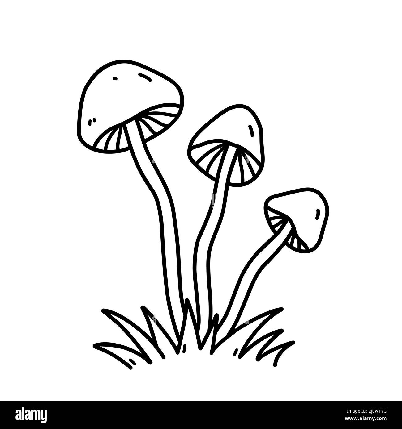 Funghi in erba isolato su sfondo bianco. Feci velenose. Illustrazione vettoriale disegnata a mano in stile doodle. Perfetto per carte, arredamento Illustrazione Vettoriale