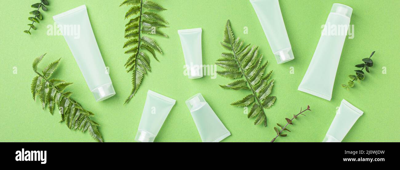 Skincare bottiglie di prodotti biologici di bellezza, foglie di piante su sfondo verde Foto Stock