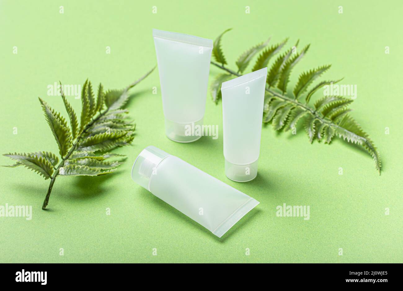 Skincare bottiglie di prodotti biologici di bellezza, foglie di piante su sfondo verde Foto Stock