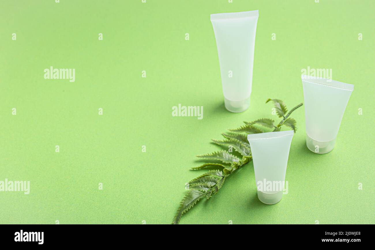 Skincare bottiglie di prodotti biologici di bellezza, foglie di piante su sfondo verde Foto Stock