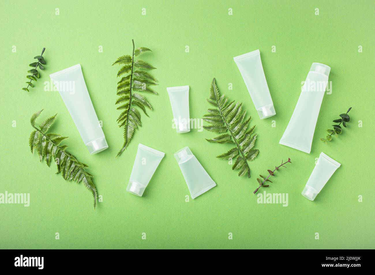 Skincare bottiglie di prodotti biologici di bellezza, foglie di piante su sfondo verde Foto Stock