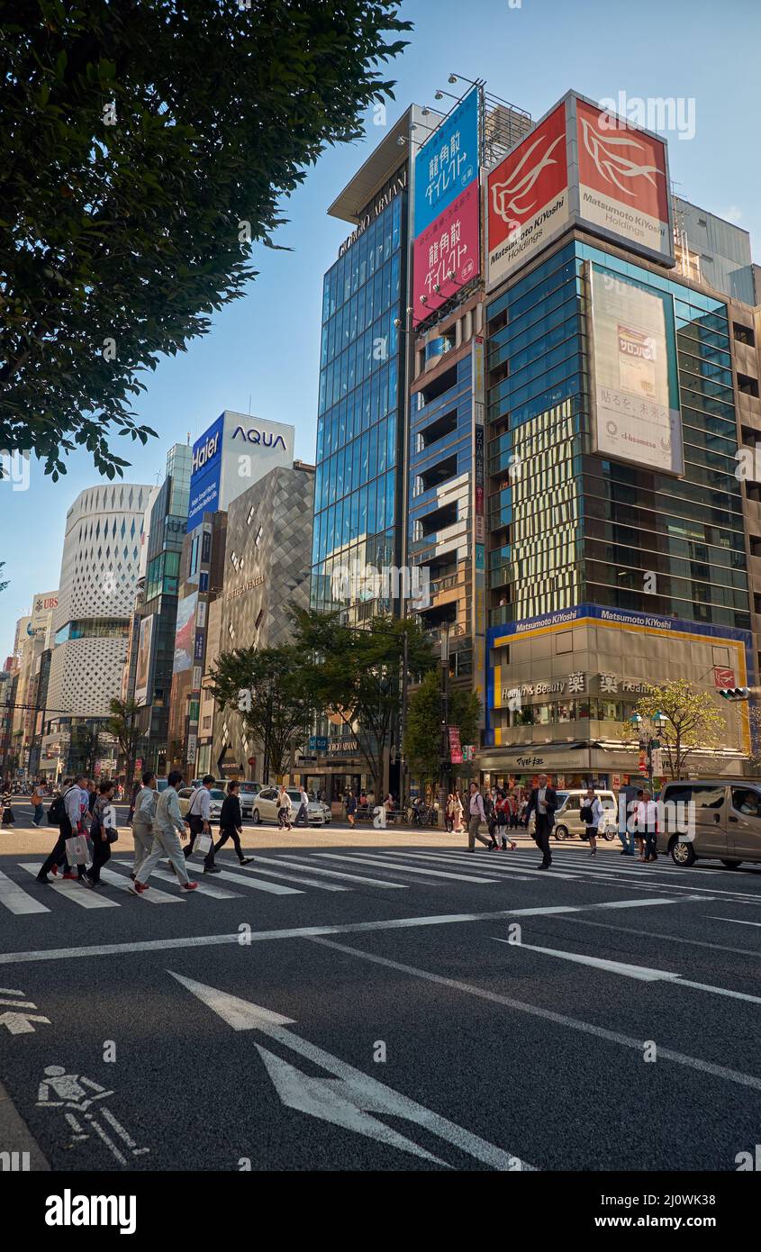 Harumi-dori Avenue, la strada nel centro di Tokyo. Giappone Foto Stock