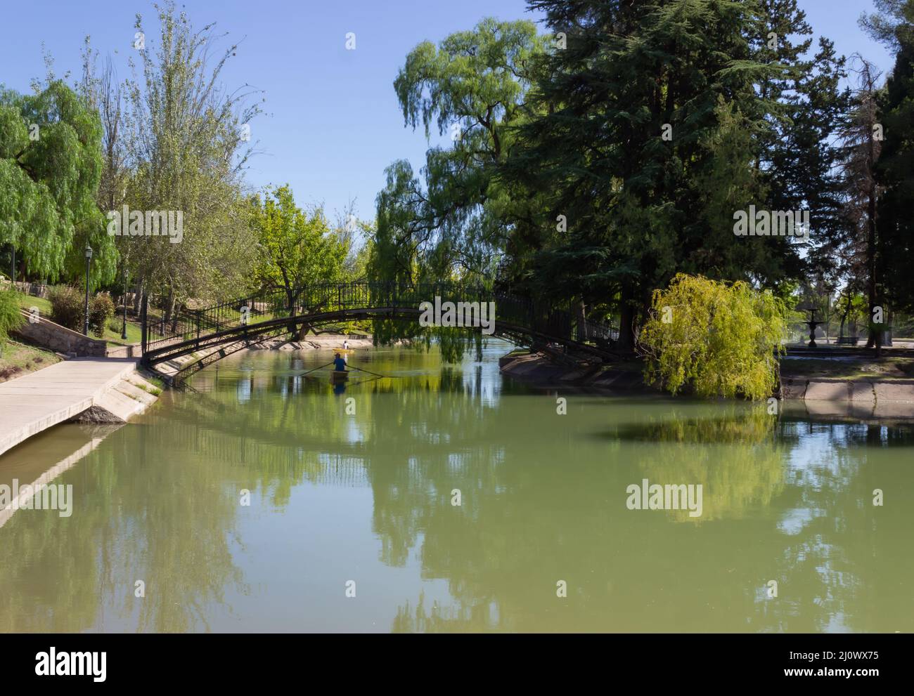 Alberi vicino al fiume in una giornata di sole. Foto Stock