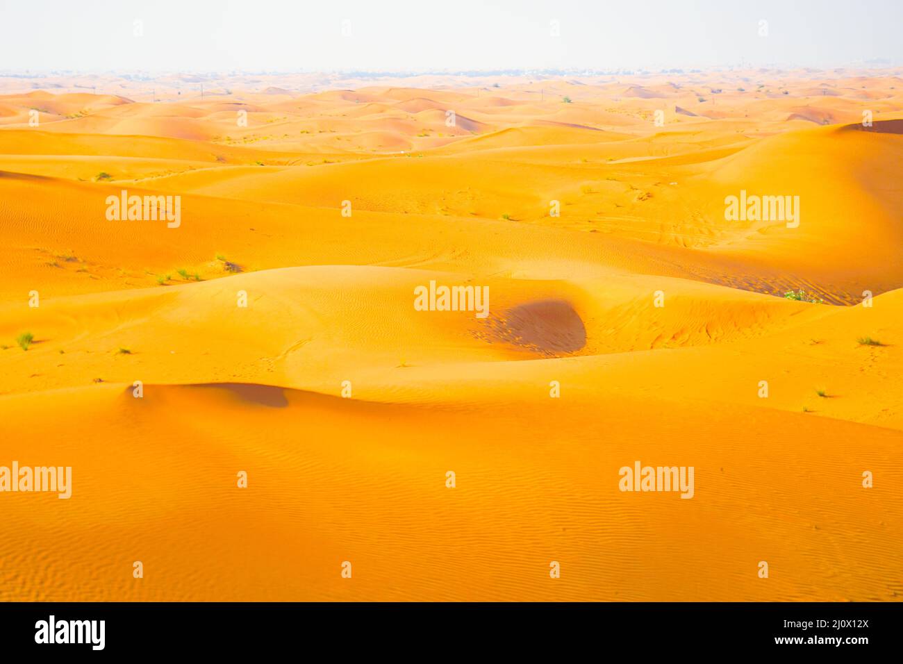 Immagine del deserto arabo Foto Stock