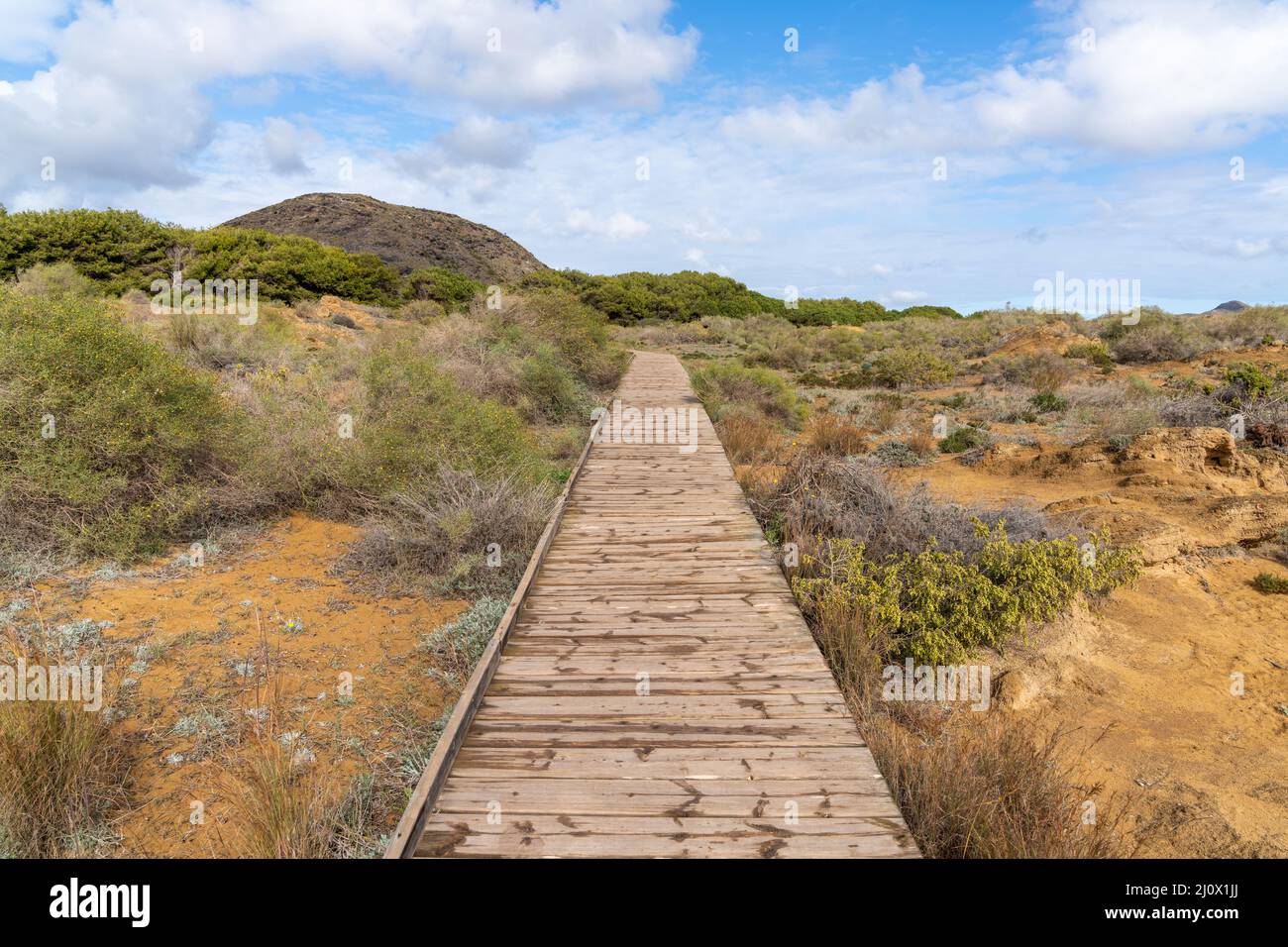 Una lunga passerella in legno conduce attraverso un fragile ecosistema costiero di dune di sabbia Foto Stock