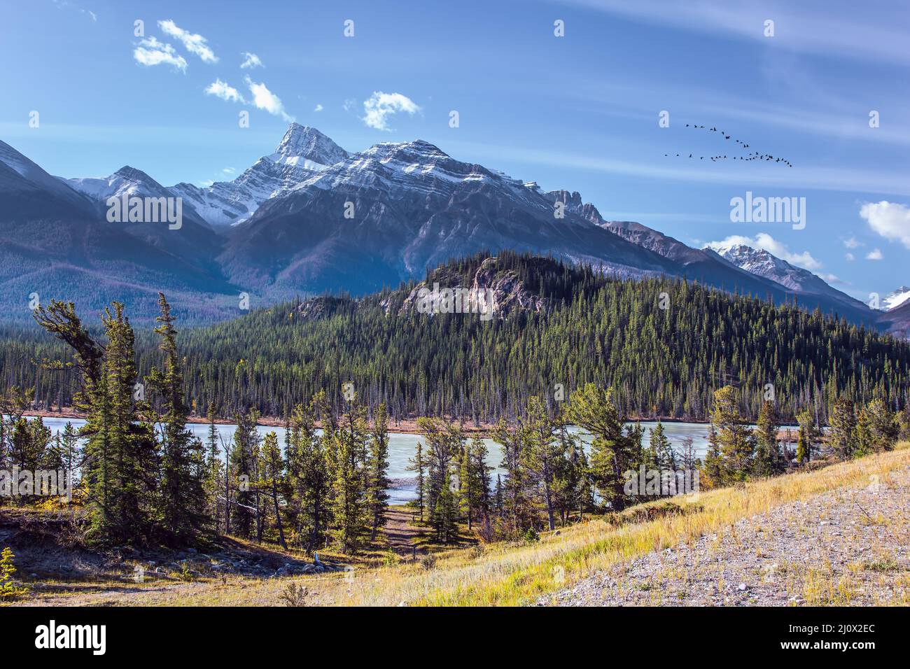 Splendido lago Abraham Foto Stock