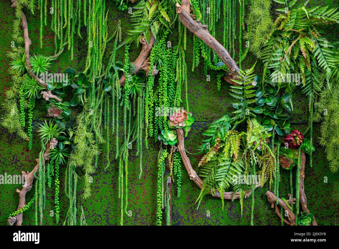 Sfondo di piante verdi di plastica. Texture decorativa artificiale. Foto Stock