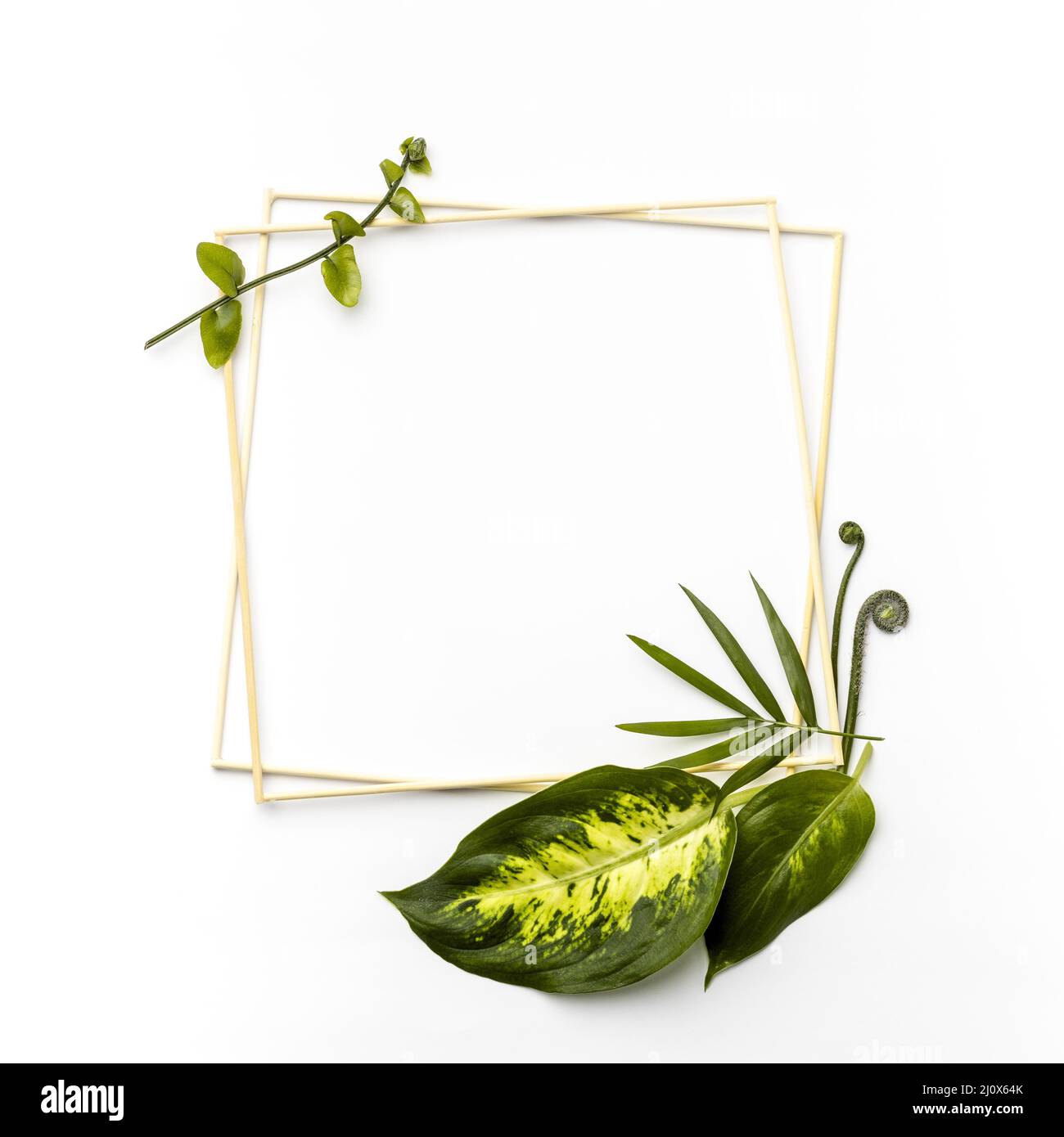 Disposizione di posa piatta foglie verdi con cornici vuote. Concetto di foto di alta qualità Foto Stock