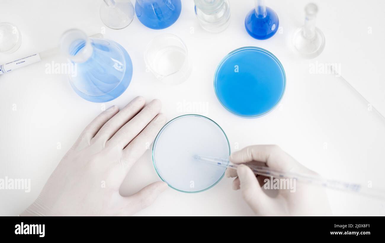Chiudere le mani con la capsula Petri per pipette Foto Stock