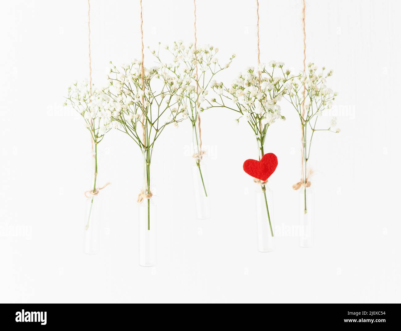 Fiori bianchi in mini vasi di vetro appesi. Concetto di San Valentino, festa di nozze. Foto Stock