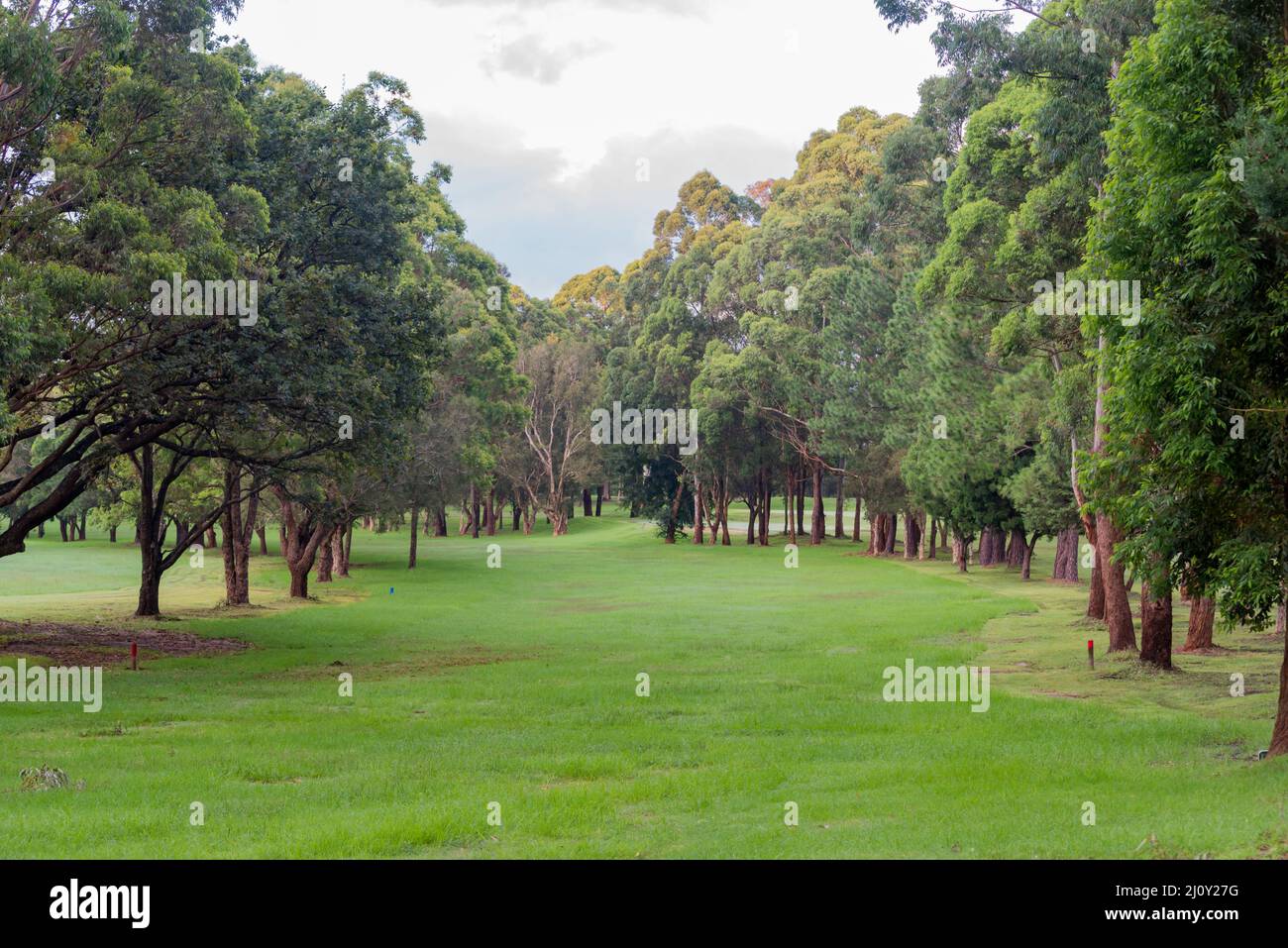 12 marzo 2022, Gordon Golf Course, Sydney, Aust: Dopo due settimane di pioggia pesante quasi costante Gordon Golf Course fairway sembrano più come prati Foto Stock