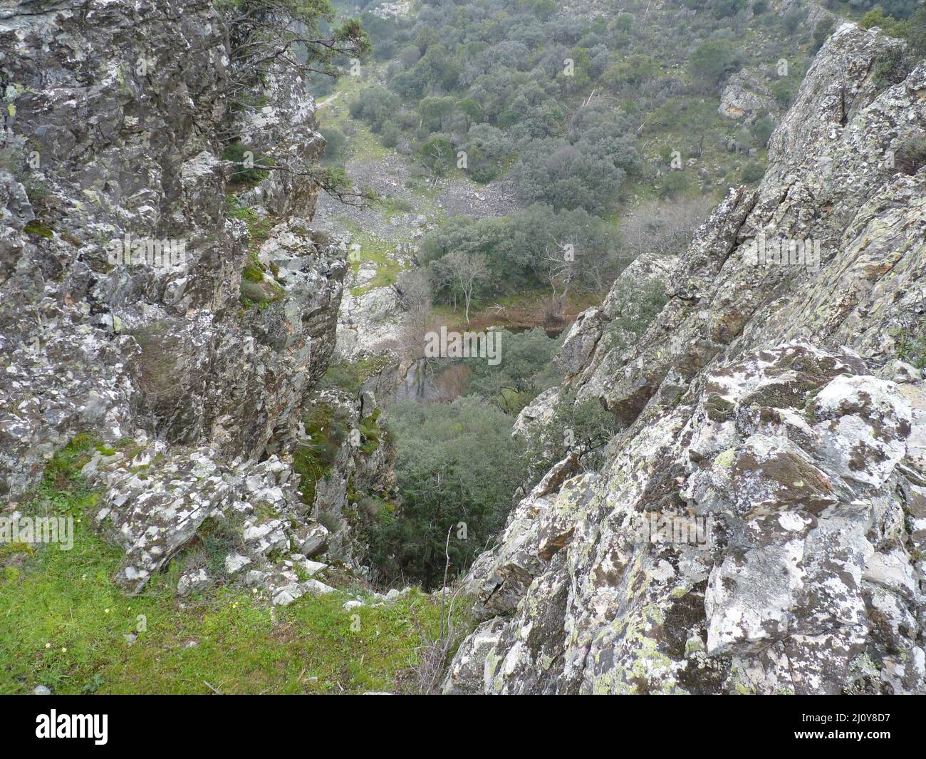 Piante, alberi, cascate, rocce, ponti e montagne in Andalusia, Spagna Foto Stock