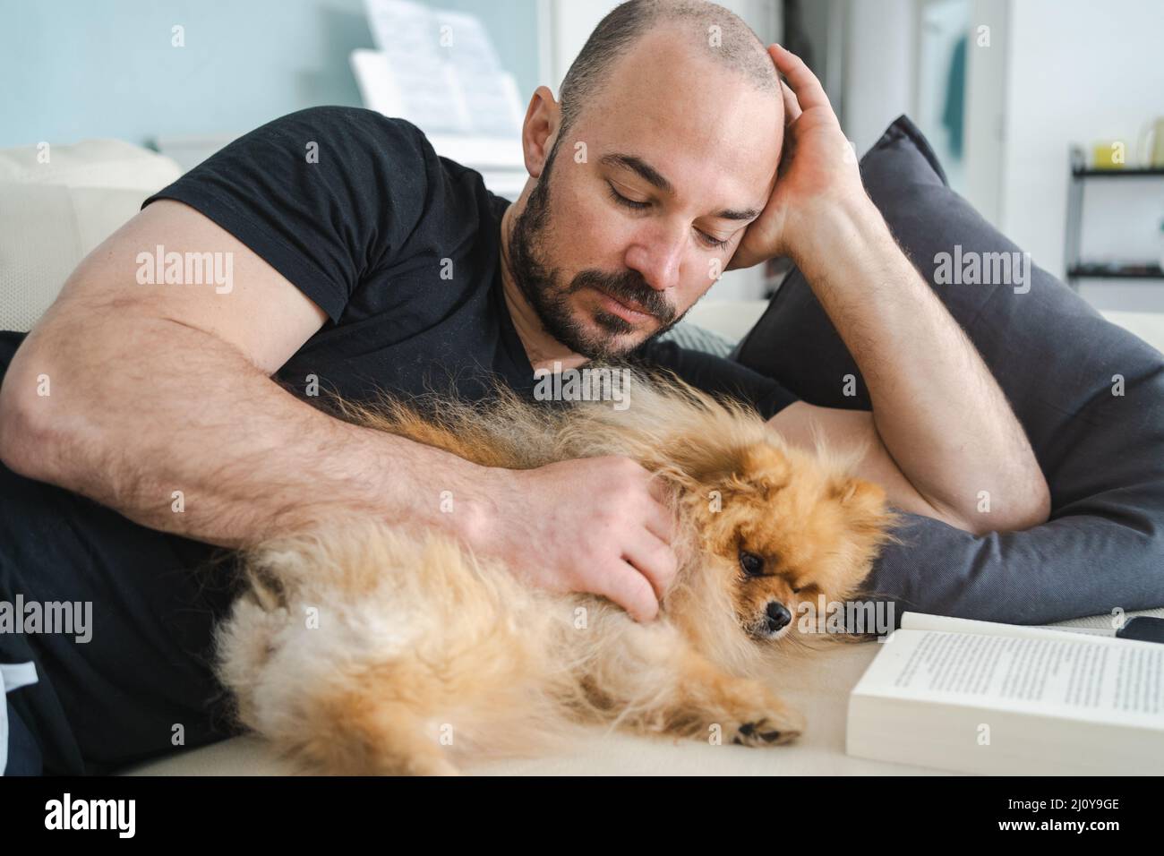 Pomeranian piccolo libro di lettura del cane soffice sul divano con il proprietario Foto Stock