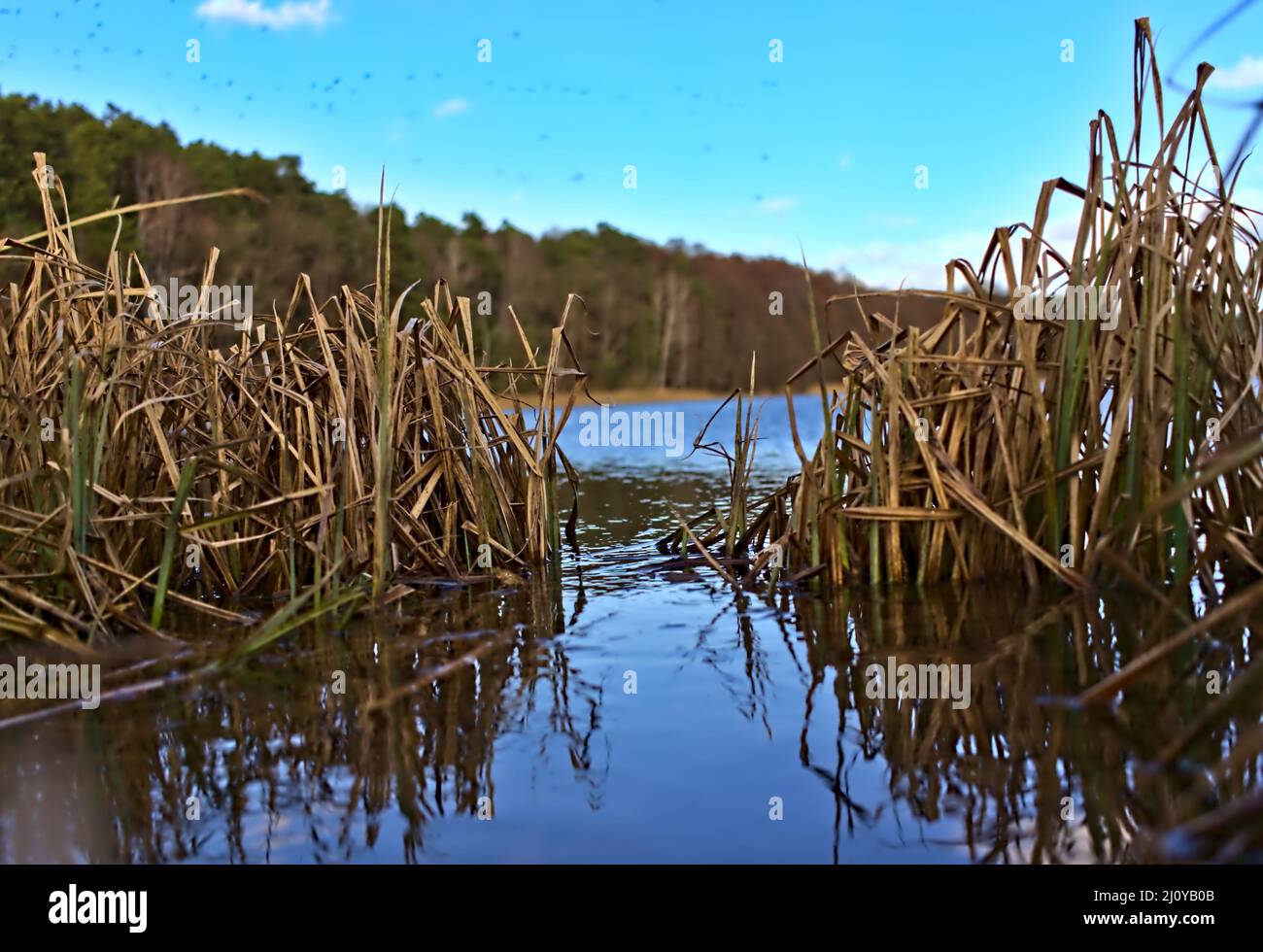 Come un piccolo ingresso al porto Foto Stock