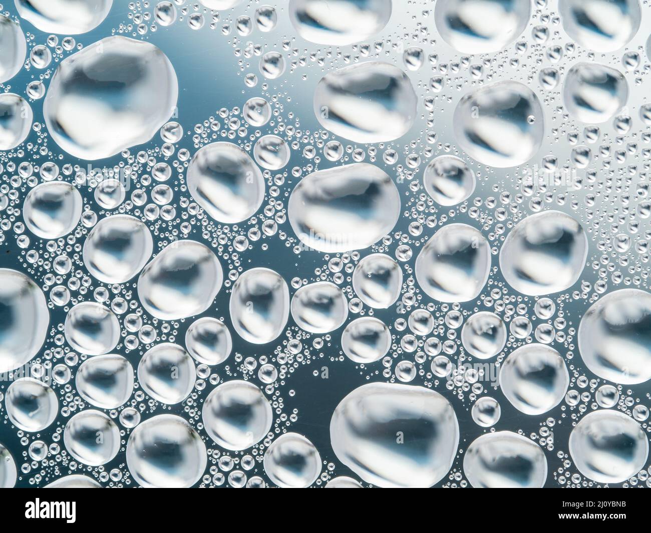 Abstract sfondo grigio con grandi e piccole convessa sferica di gocce di acqua sul vetro. Bolle sulla finestra. Macro close up. Foto Stock