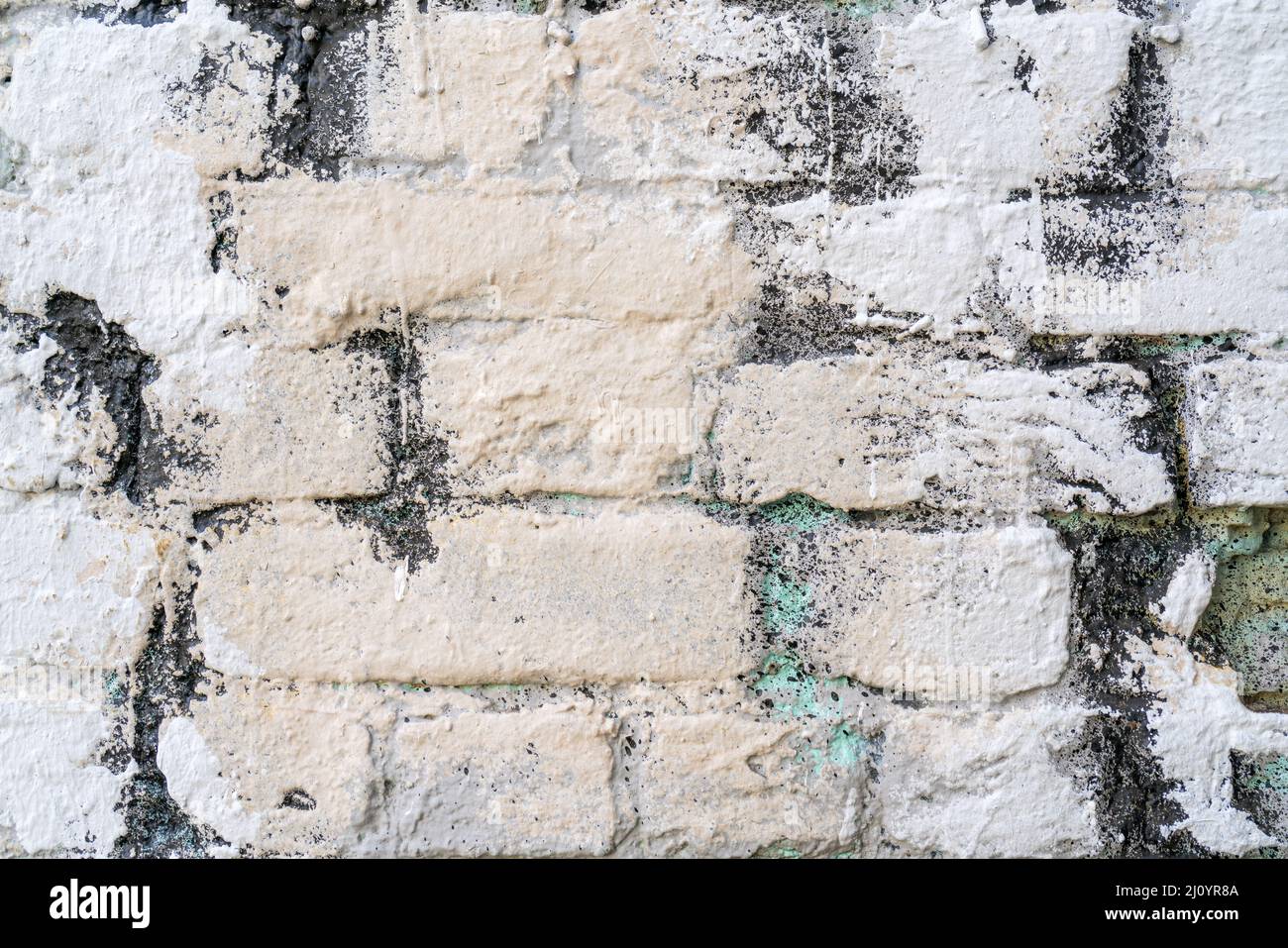 Bianco e beige di vernice sul muro di una casa. Costruzione e riparazione. Foto Stock