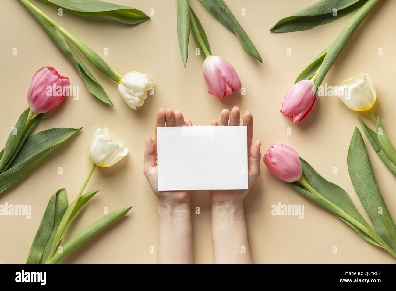 Bella composizione floreale del giorno della madre. Foto di alta qualità Foto Stock