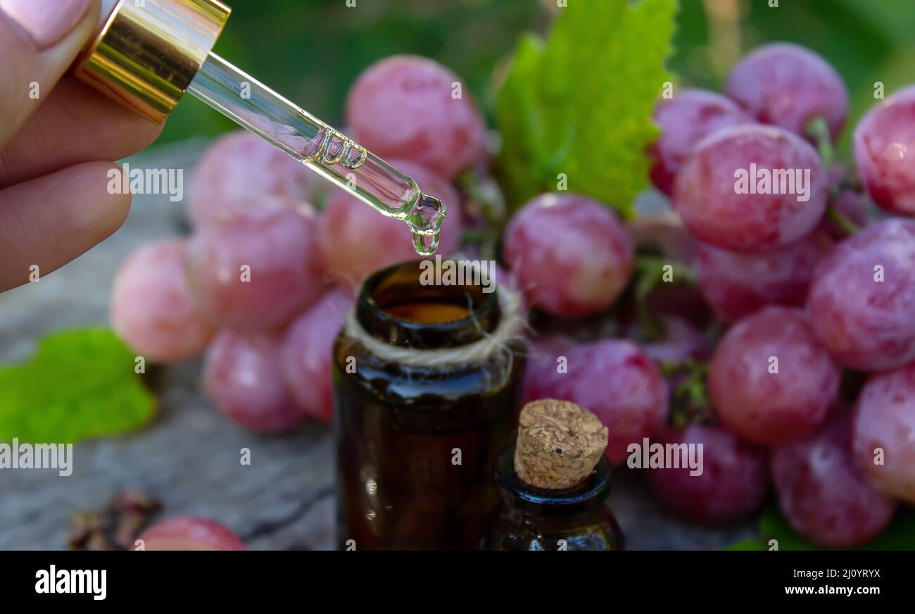 Olio di semi di uva in un vaso di vetro e uva fresca per cure termali e del corpo. Il concetto di spa, bio, eco products.selective focus Foto Stock