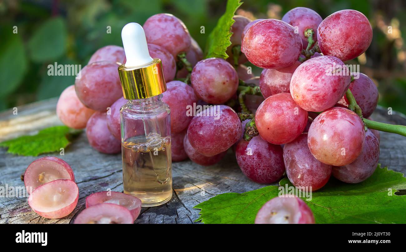 Olio di semi di uva in un vaso di vetro e uva fresca per cure termali e del corpo. Il concetto di spa, bio, eco products.selective focus Foto Stock