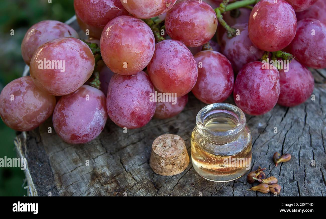 Olio di semi di uva in un vaso di vetro e uva fresca per cure termali e del corpo. Il concetto di spa, bio, eco products.selective focus Foto Stock