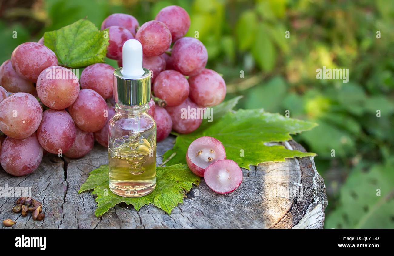 Olio di semi di uva in un vaso di vetro e uva fresca per cure termali e del corpo. Il concetto di spa, bio, eco products.selective focus Foto Stock