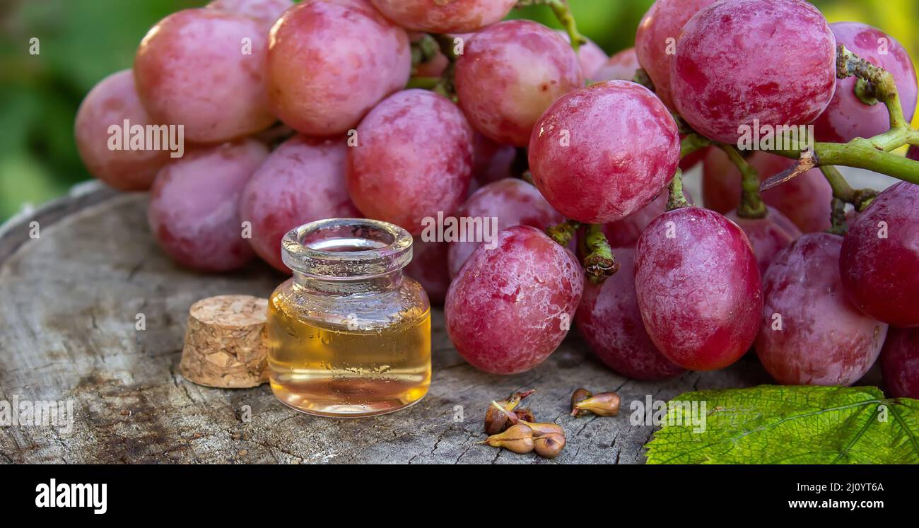 Olio di semi di uva in un vaso di vetro e uva fresca per cure termali e del corpo. Il concetto di spa, bio, eco products.selective focus Foto Stock