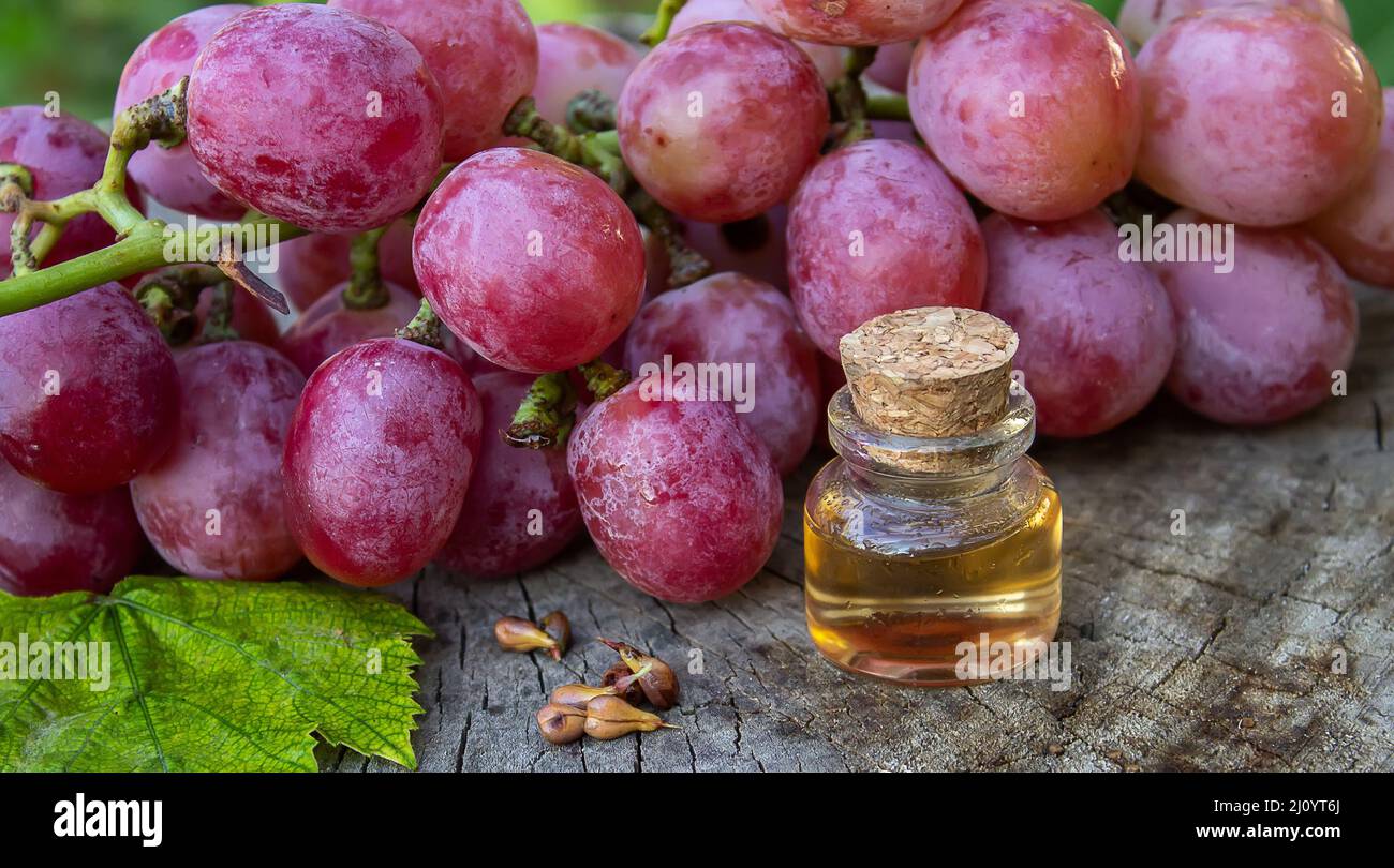 Olio di semi di uva in un vaso di vetro e uva fresca per cure termali e del corpo. Il concetto di spa, bio, eco products.selective focus Foto Stock