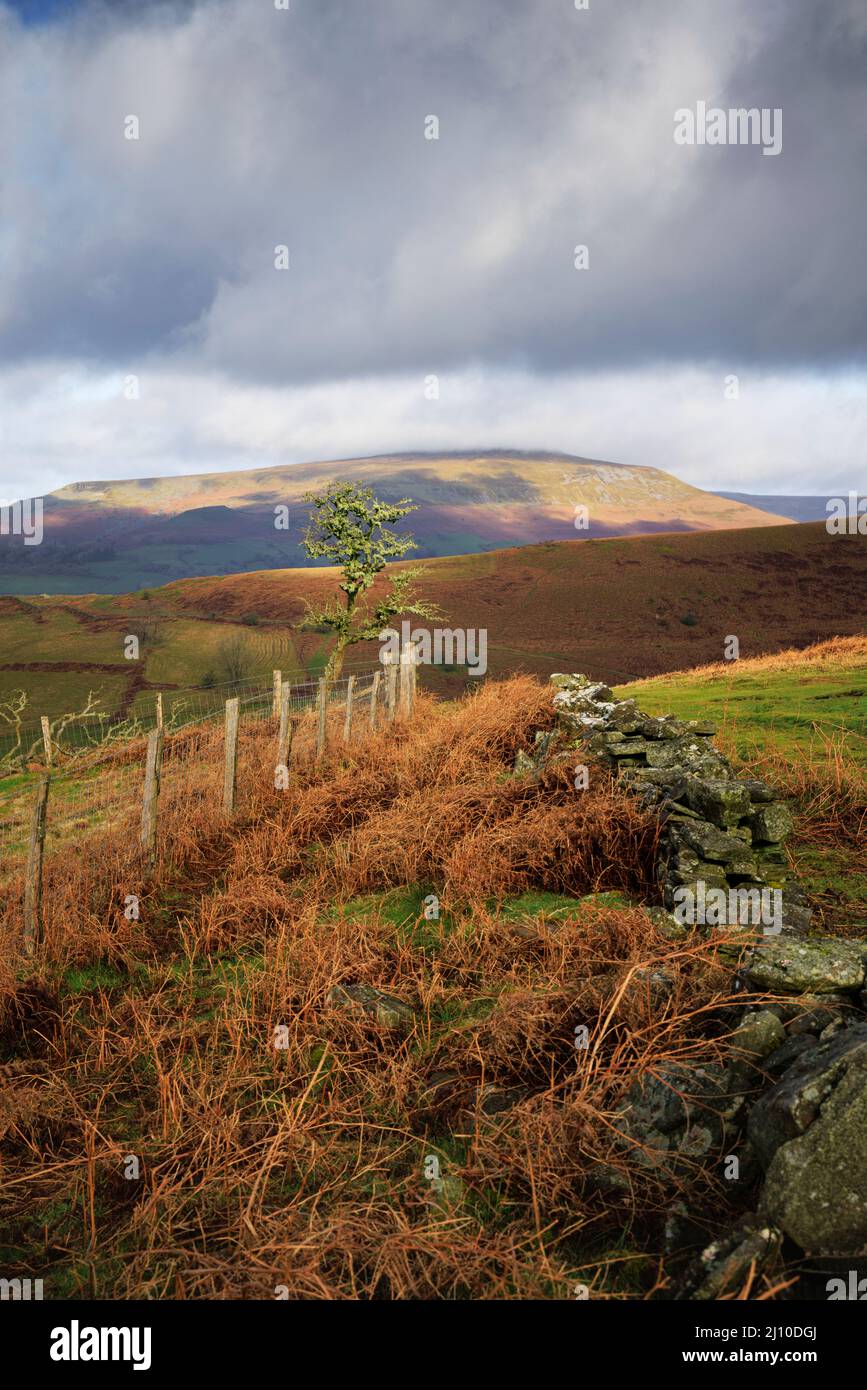 Colline ondulate del Parco Nazionale di Brecon Beacons, vicino Abergavenny. Foto Stock