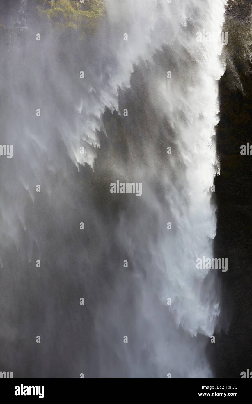 Irrorate in una giornata ventosa, alle Cascate Seljalandsfoss, vicino a Vik, Islanda meridionale. Foto Stock