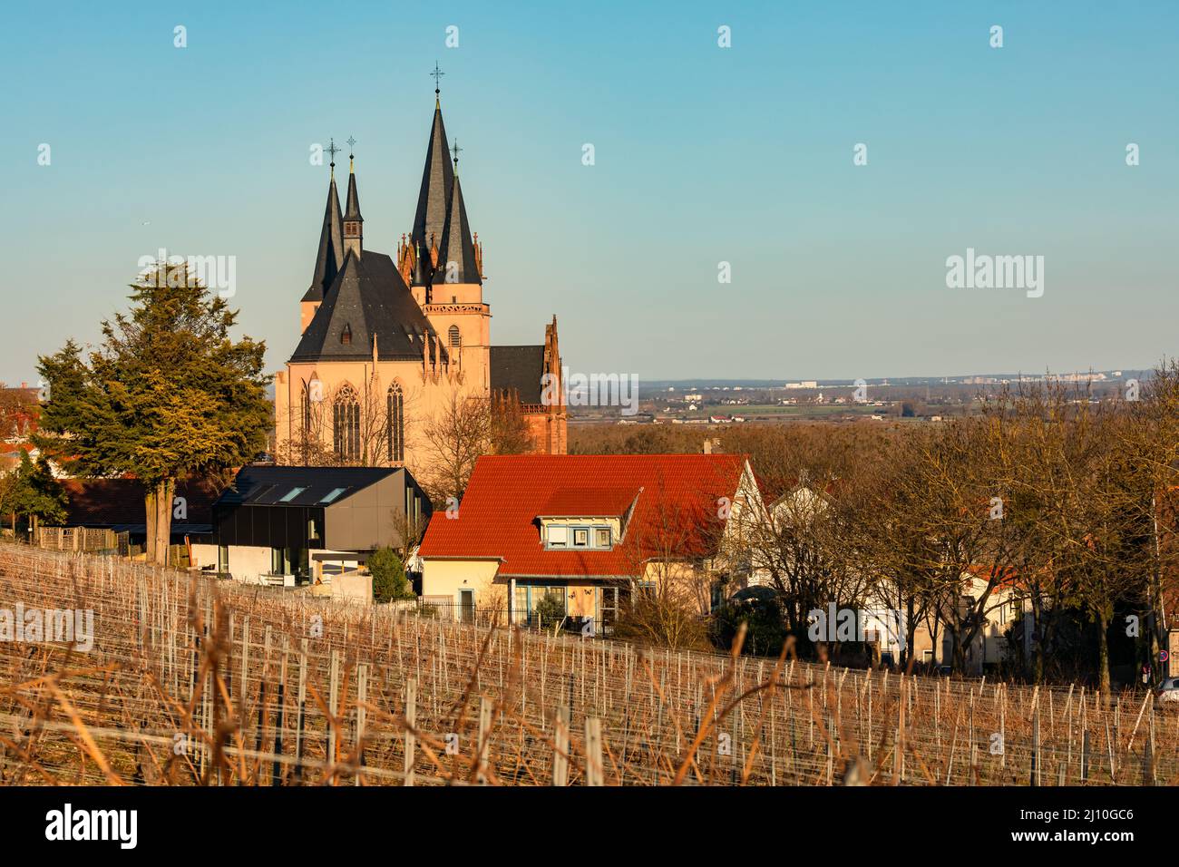 Il Katharinenkirche, nella panoramica Oppenheim, si trova sopra il Reno, sul Rheinterassenweg, in Germania Foto Stock