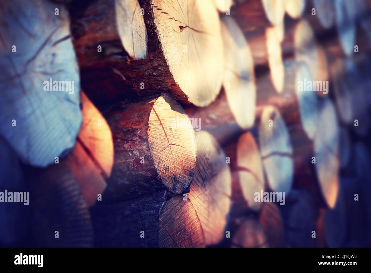 Che cosa chiamate un gruppo dei bastoni. Primo piano di tronchi di legno. Foto Stock
